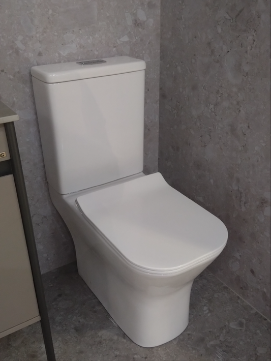 Deluxe Back-to-Wall Toilet Cistern & Seat