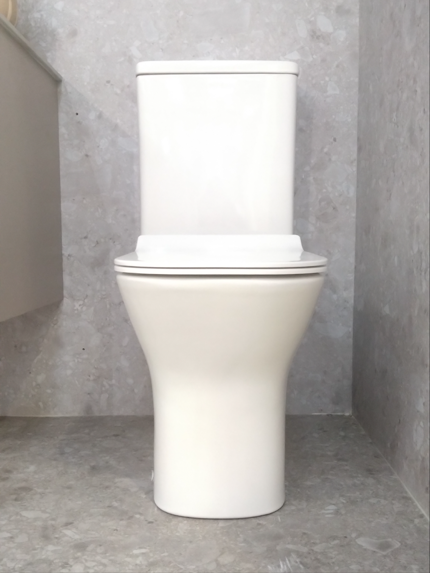 Deluxe Back-to-Wall Toilet Cistern & Seat
